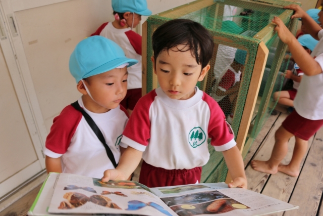 すぎのこ便り こいのぼりあがりました 杉之子幼稚園 すぎのこようちえん 横浜市西区